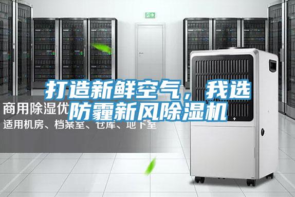 打造新鲜空气，我选防霾新风91免费网站在线观看