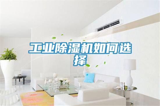 工业91免费网站在线观看如何选择