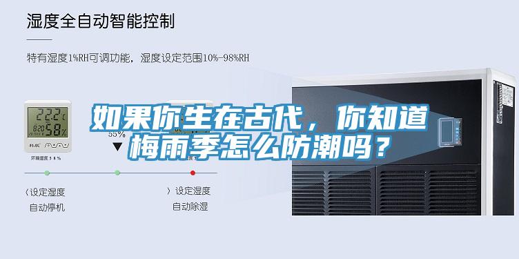 如果你生在古代，你知道梅雨季怎么防潮吗？