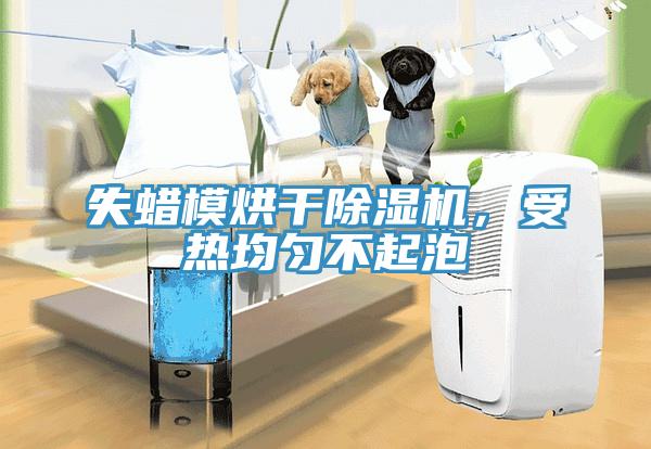 失蜡模烘干91免费网站在线观看，受热均匀不起泡