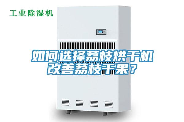 如何选择荔枝烘干机改善荔枝干果？
