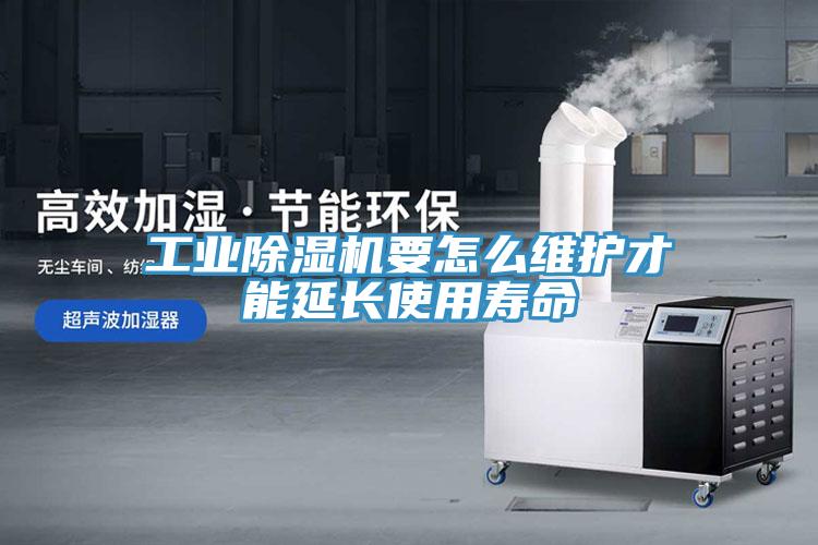 工业91免费网站在线观看要怎么维护才能延长使用寿命