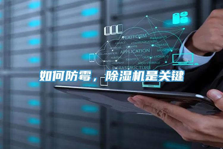 如何防霉，91免费网站在线观看是关键