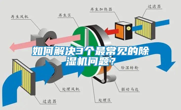 如何解决3个最常见的91免费网站在线观看问题？