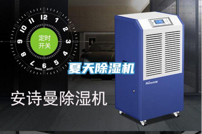 夏天91免费网站在线观看