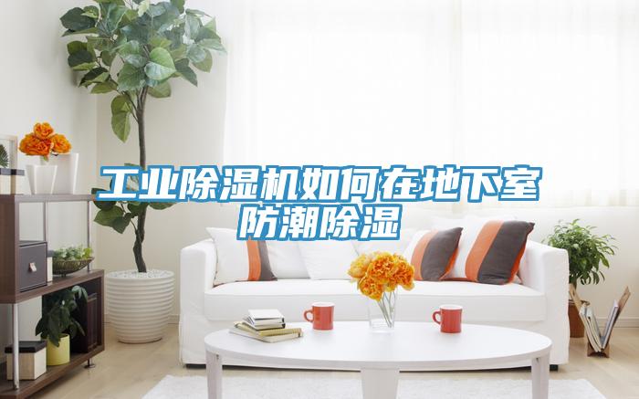 工业91免费网站在线观看如何在地下室防潮除湿