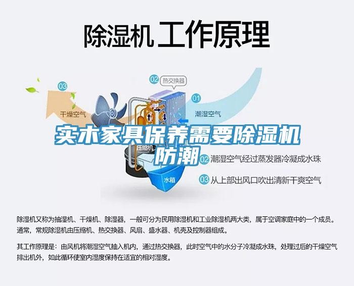 实木家具保养需要91免费网站在线观看防潮