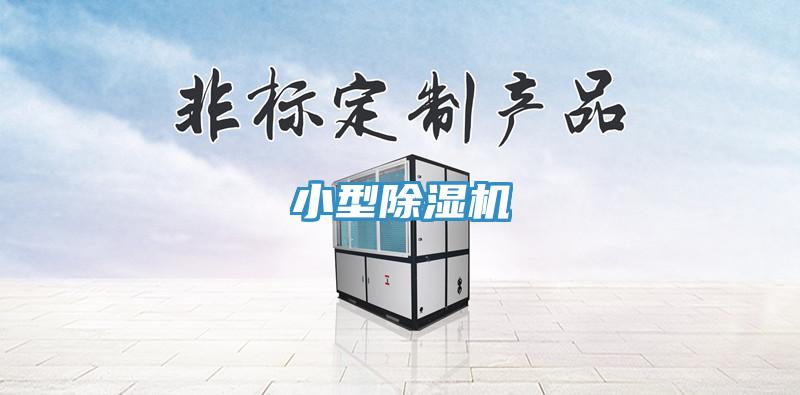 小型91免费网站在线观看