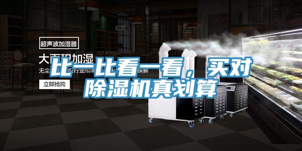比一比看一看，买对91免费网站在线观看真划算