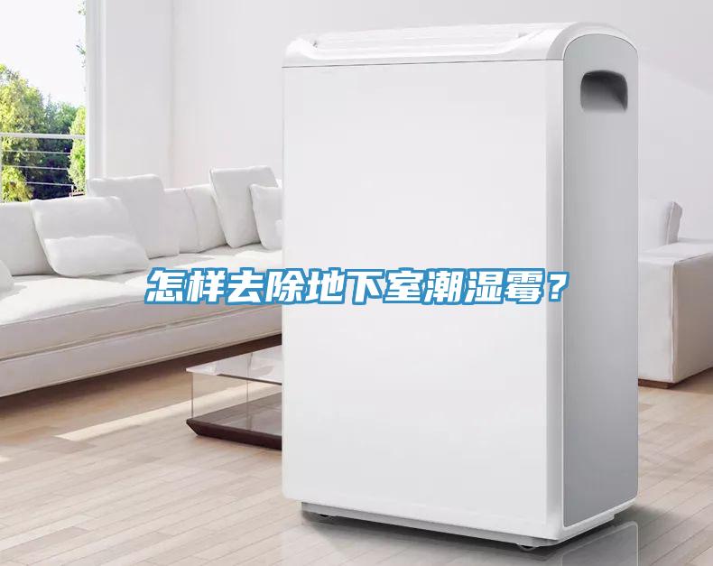 怎样去除地下室潮湿霉？