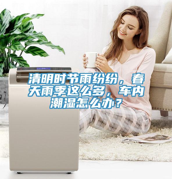 清明时节雨纷纷，春天雨季这么多，车内潮湿怎么办？