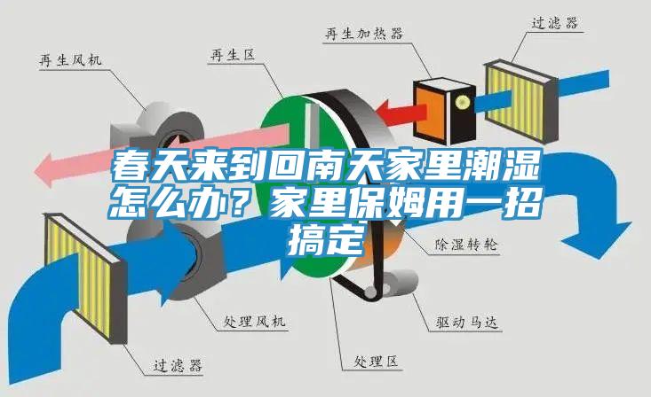 春天来到回南天家里潮湿怎么办？家里保姆用一招搞定