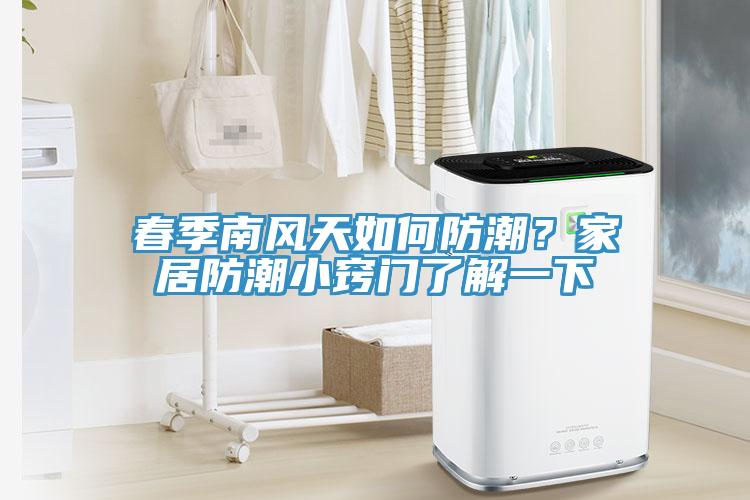 春季南风天如何防潮？家居防潮小窍门了解一下