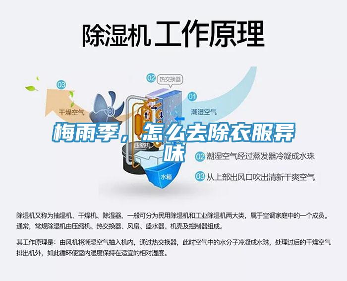 梅雨季，怎么去除衣服异味