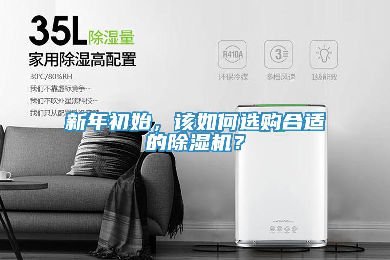 新年初始，该如何选购合适的91免费网站在线观看？