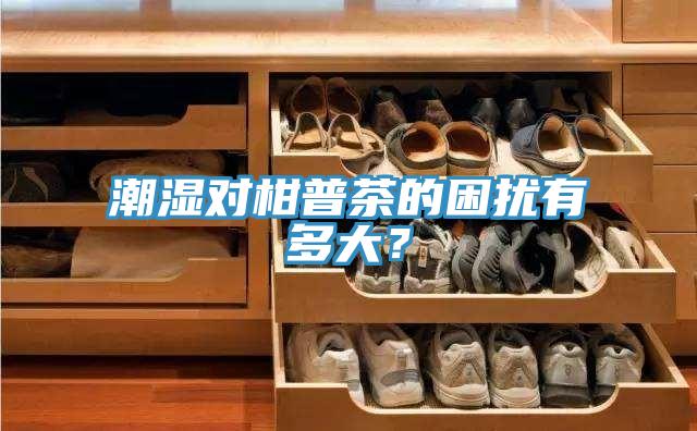 潮湿对柑普茶的困扰有多大？