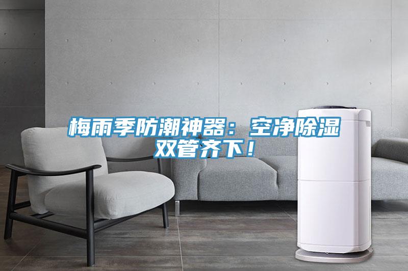 梅雨季防潮神器：空净除湿双管齐下！