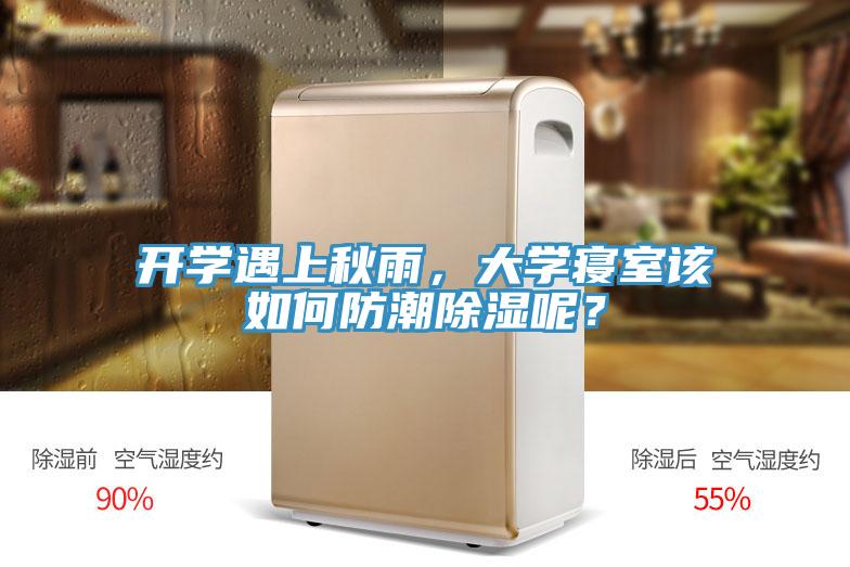开学遇上秋雨，大学寝室该如何防潮除湿呢？