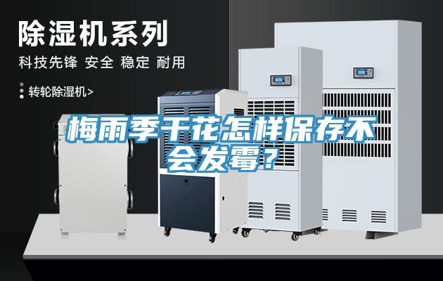 梅雨季干花怎样保存不会发霉？