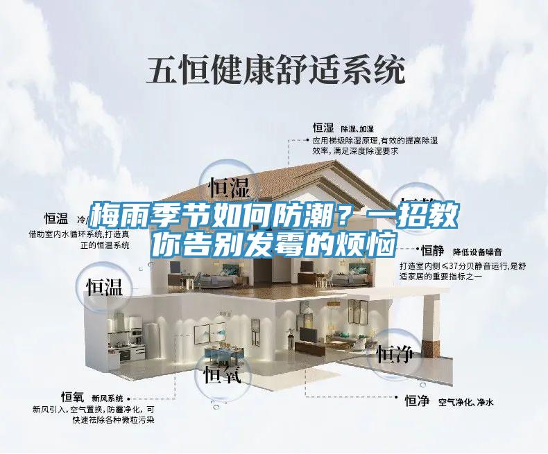 梅雨季节如何防潮？一招教你告别发霉的烦恼