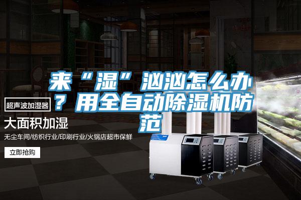 来“湿”汹汹怎么办？用全自动91免费网站在线观看防范