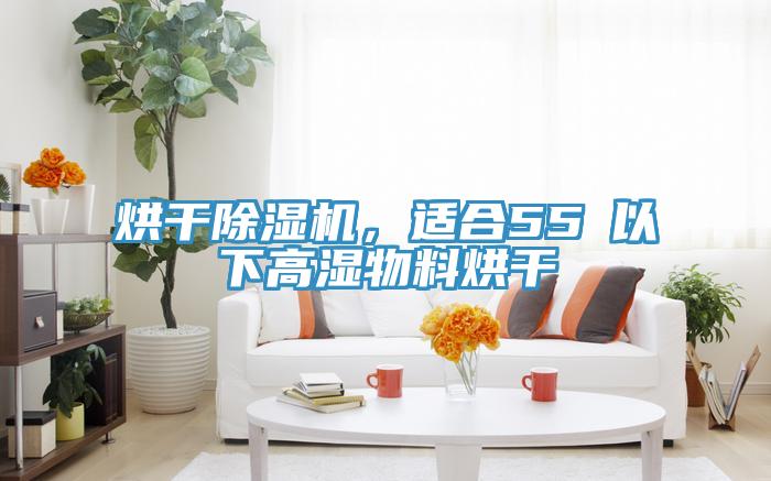 烘干91免费网站在线观看，适合55℃以下高湿物料烘干