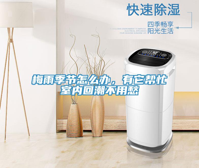 梅雨季节怎么办，有它帮忙室内回潮不用愁