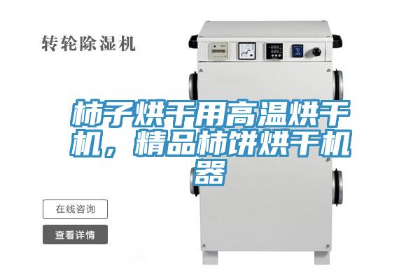 柿子烘干用高温烘干机，精品柿饼烘干机器