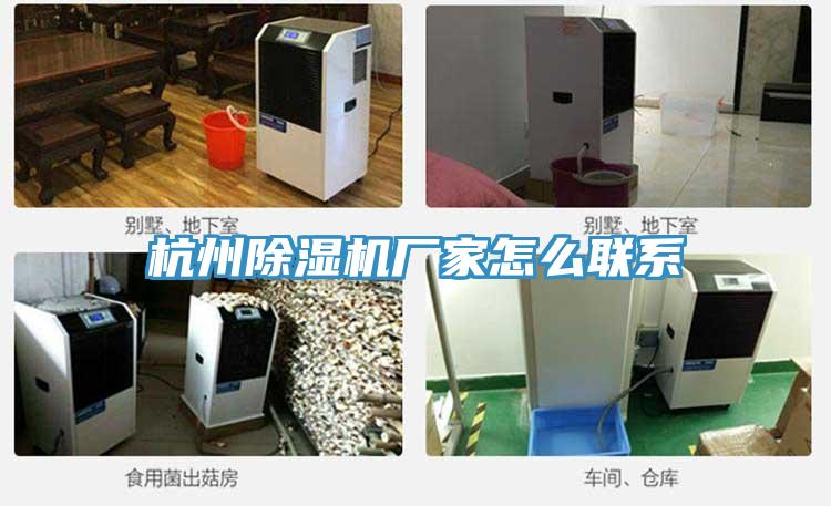 杭州91免费网站在线观看厂家怎么联系