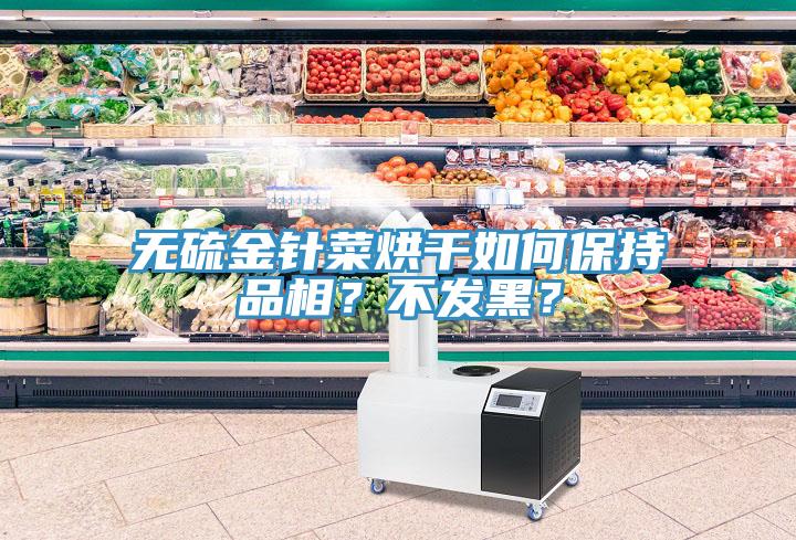 无硫金针菜烘干如何保持品相？不发黑？