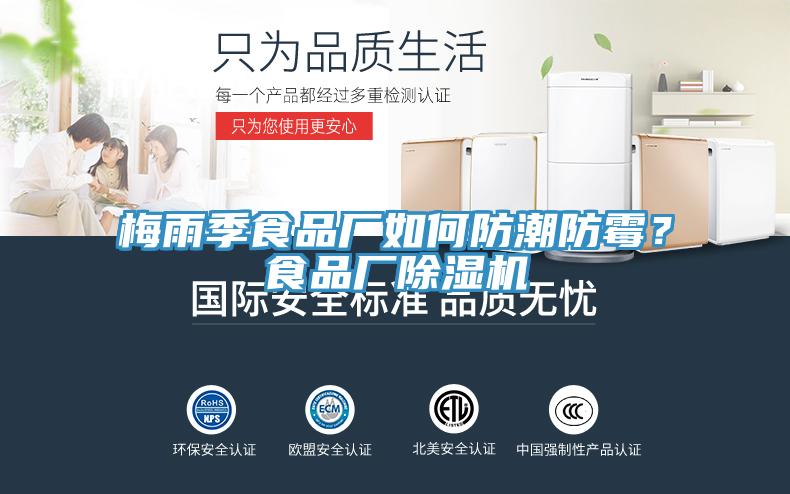 梅雨季食品厂如何防潮防霉？食品厂91免费网站在线观看