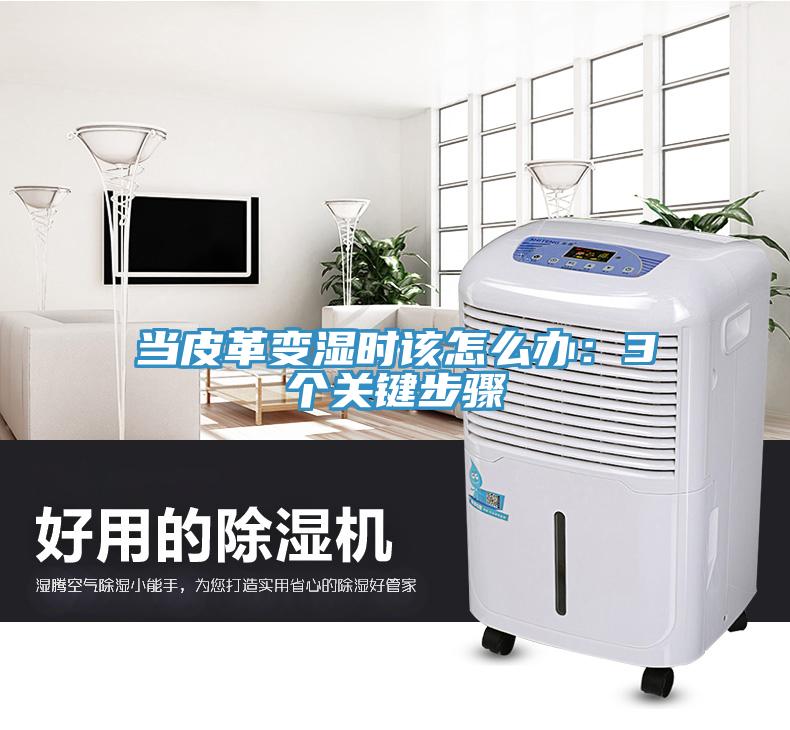 当皮革变湿时该怎么办：3个关键步骤