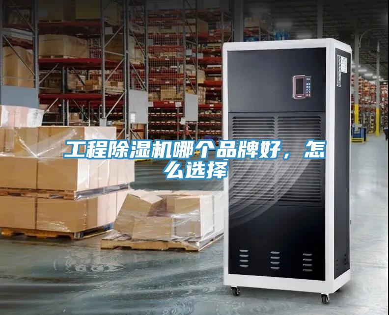 工程91免费网站在线观看哪个品牌好，怎么选择