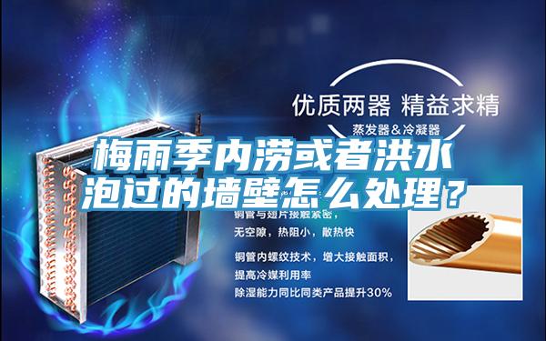 梅雨季内涝或者洪水泡过的墙壁怎么处理？