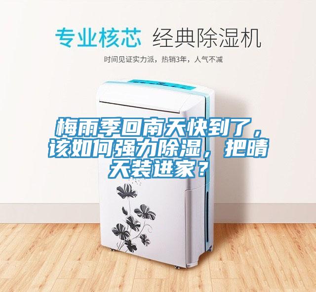 梅雨季回南天快到了，该如何强力除湿，把晴天装进家？