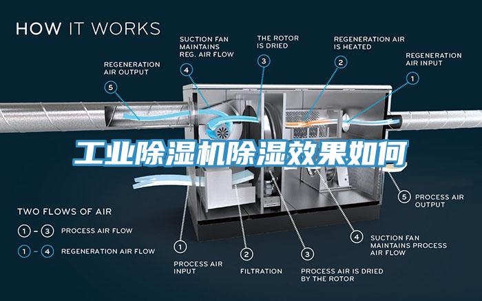 工业91免费网站在线观看除湿效果如何