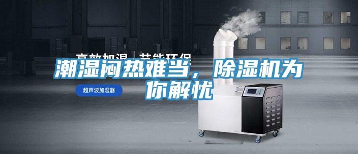 潮湿闷热难当，91免费网站在线观看为你解忧