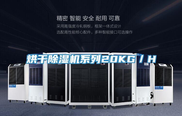 烘干91免费网站在线观看系列20KG／H