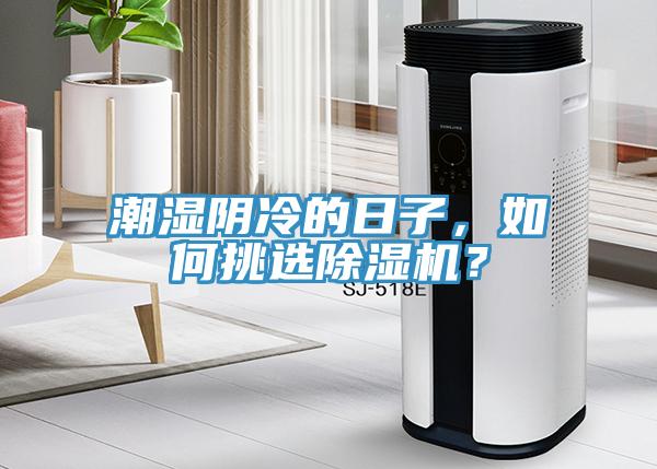 潮湿阴冷的日子，如何挑选91免费网站在线观看？