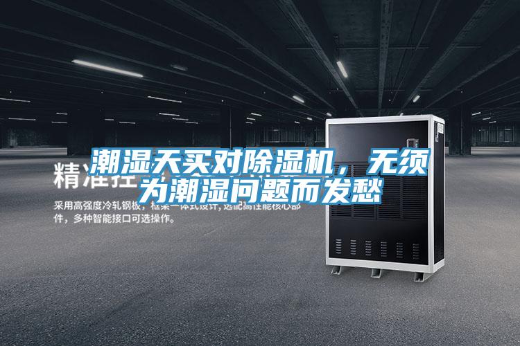 潮湿天买对91免费网站在线观看，无须为潮湿问题而发愁