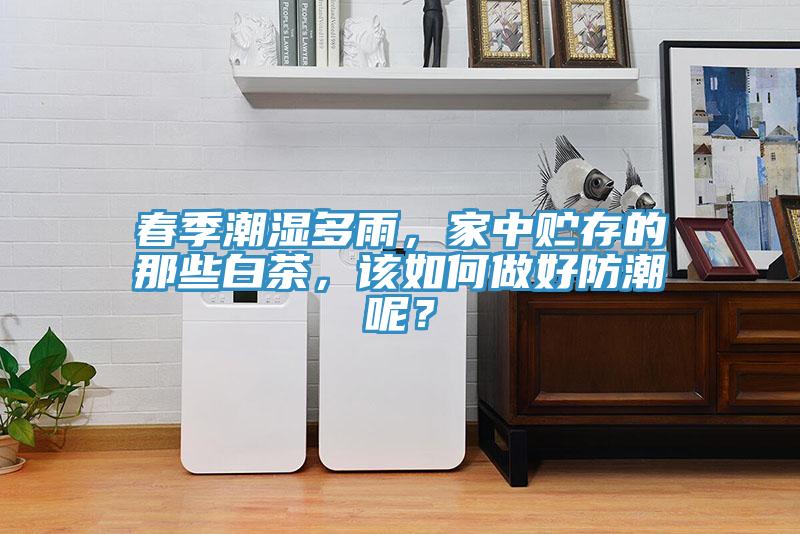 春季潮湿多雨，家中贮存的那些白茶，该如何做好防潮呢？