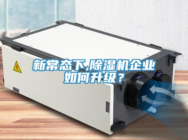 新常态下,91免费网站在线观看企业如何升级？