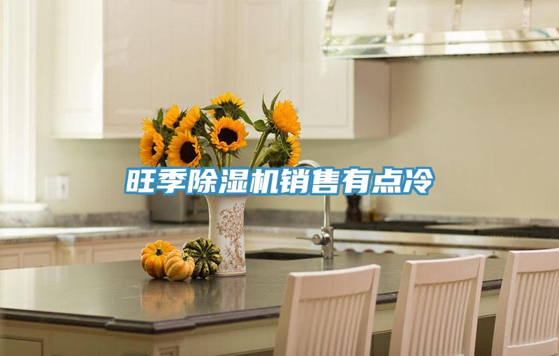 旺季91免费网站在线观看销售有点冷