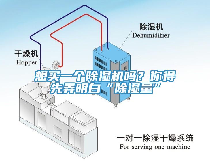 想买一个91免费网站在线观看吗？你得先弄明白“除湿量”