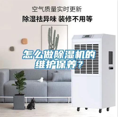 怎么做91免费网站在线观看的维护保养？