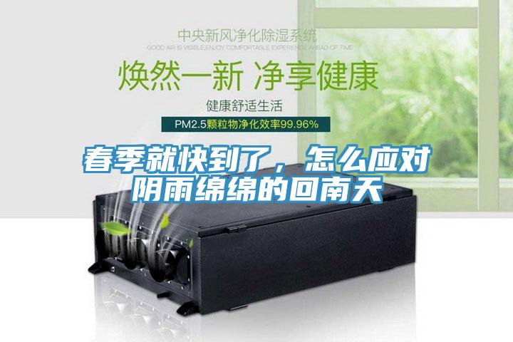 春季就快到了，怎么应对阴雨绵绵的回南天