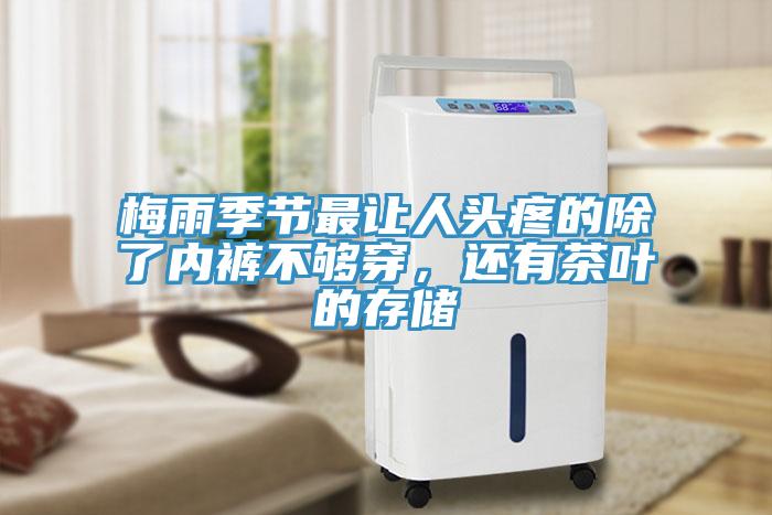 梅雨季节最让人头疼的除了内裤不够穿，还有茶叶的存储
