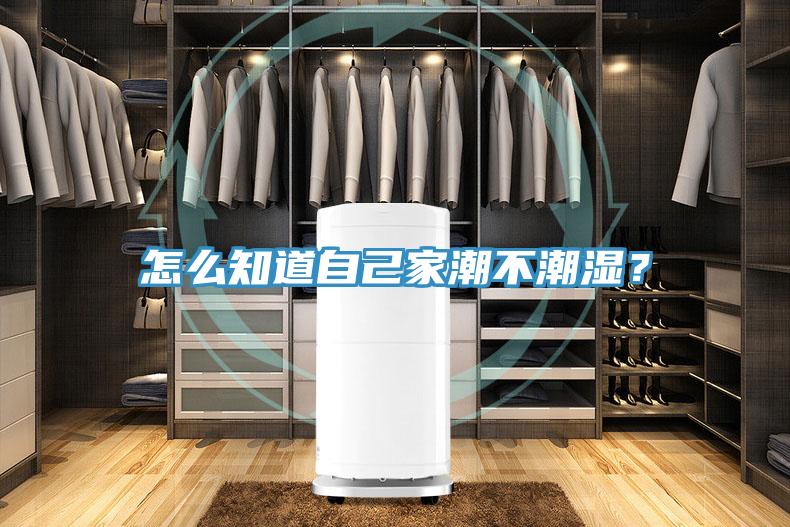 怎么知道自己家潮不潮湿？
