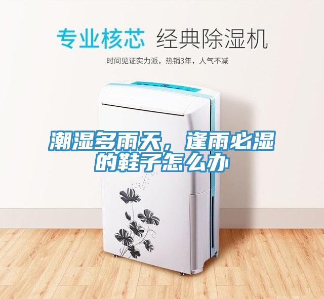 潮湿多雨天，逢雨必湿的鞋子怎么办