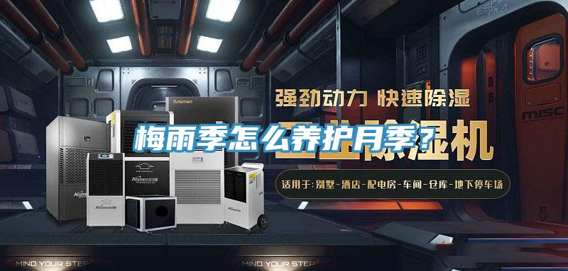 梅雨季怎么养护月季？
